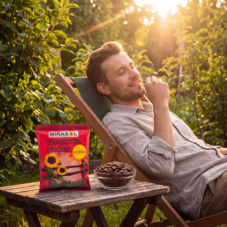 Mirasol geröstete Sonnenblumenkerne gesalzen, in der Schale 150 g